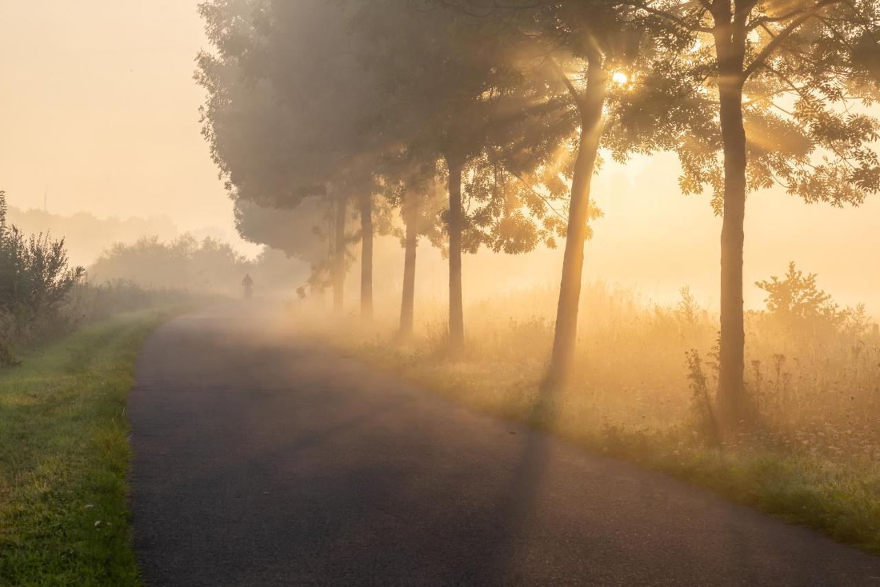 Apartmán De Roterij Wevelgem Exteriér fotografie