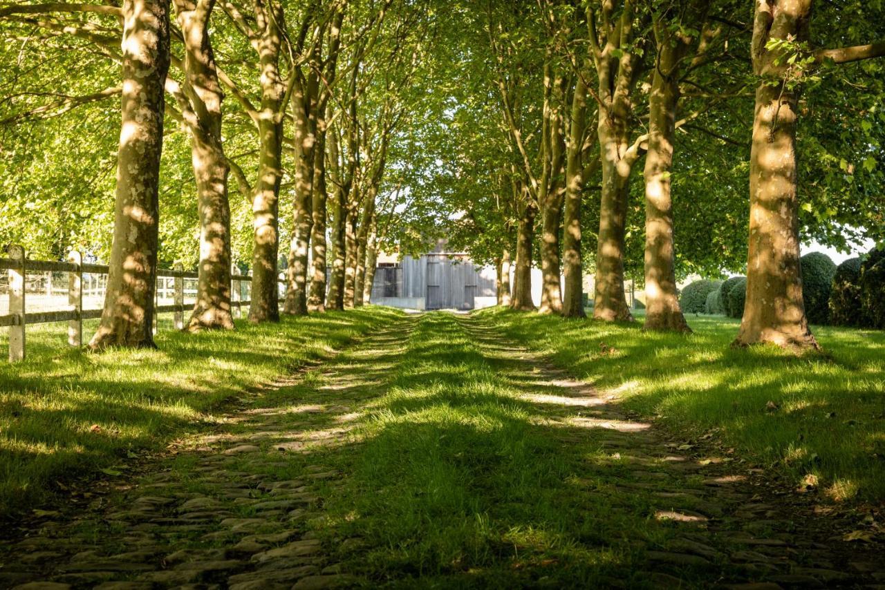 Apartmán De Roterij Wevelgem Exteriér fotografie